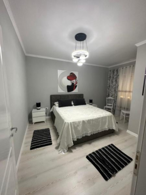 Luxury Apartment